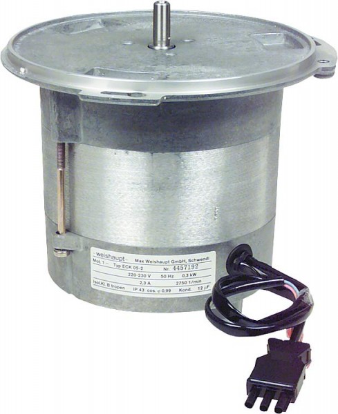 Brennermotor V Upm, WL 30-A 241 300 0709/0